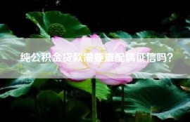 纯公积金贷款需要查配偶征信吗？