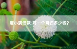 度小满借款5万一个月还多少钱？