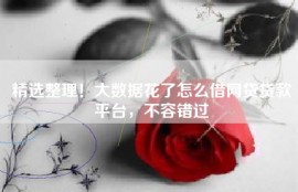 精选整理！大数据花了怎么借网贷贷款平台，不容错过
