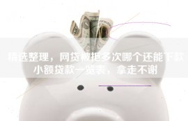 精选整理，网贷被拒多次哪个还能下款小额贷款一览表，拿走不谢