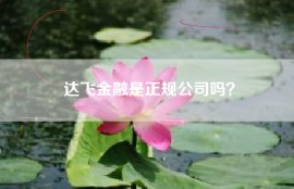 达飞金融是正规公司吗？