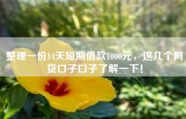 整理一份14天短期借款1000元，这几个网贷口子口子了解一下！