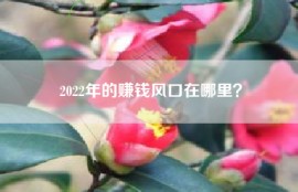 2022年的赚钱风口在哪里？