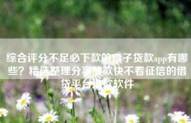 综合评分不足必下款的口子贷款app有哪些？精选整理分享放款快不看征信的借贷平台借款软件