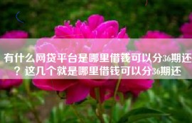 有什么网贷平台是哪里借钱可以分36期还？这几个就是哪里借钱可以分36期还