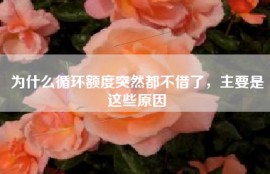 为什么循环额度突然都不借了，主要是这些原因