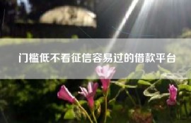 门槛低不看征信容易过的借款平台
