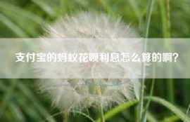 支付宝的蚂蚁花呗利息怎么算的啊？