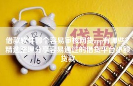借款软件哪个容易审核网贷app有哪些？精选整理分享容易通过的借贷平台小额贷款