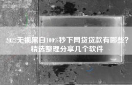 2022无视黑白100%秒下网贷贷款有哪些？精选整理分享几个软件