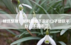 精选整理！黑网贷能下款的口子借款平台，不容错过