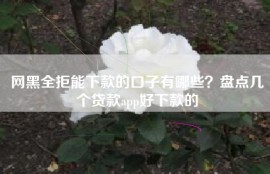 网黑全拒能下款的口子有哪些？盘点几个贷款app好下款的