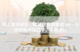 网上借钱被拒，试试这些网黑借3000一分钟到账网贷口子，不容错过