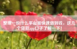 整理一份什么平台能快速借到钱，这几个贷款app口子了解一下！