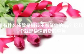 有什么贷款是借钱不看征信的app？这几个就是快速借贷的平台