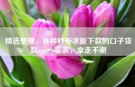 精选整理，各种秒拒求能下款的口子贷款app一览表，拿走不谢