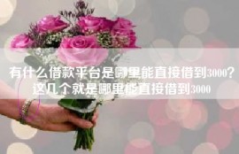 有什么借款平台是哪里能直接借到3000？这几个就是哪里能直接借到3000