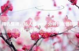 精选整理，私人借3000一分钟到账借款软件一览表，拿走不谢