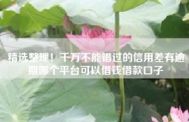 精选整理！千万不能错过的信用差有逾期哪个平台可以借钱借款口子