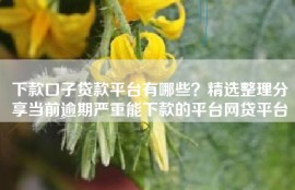 下款口子贷款平台有哪些？精选整理分享当前逾期严重能下款的平台网贷平台