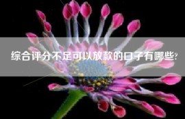 综合评分不足可以放款的口子有哪些?