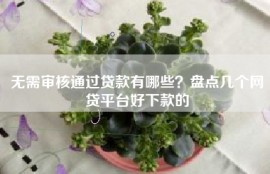 无需审核通过贷款有哪些？盘点几个网贷平台好下款的