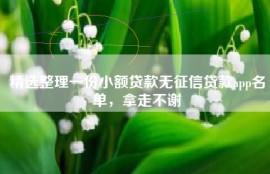 精选整理一份小额贷款无征信贷款app名单，拿走不谢