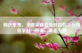 精选整理，无需审核直接放款的平台网贷平台一览表，拿走不谢
