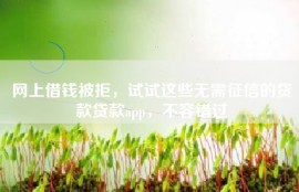 网上借钱被拒，试试这些无需征信的贷款贷款app，不容错过