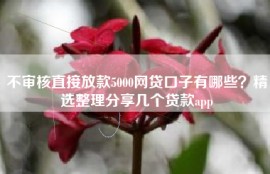 不审核直接放款5000网贷口子有哪些？精选整理分享几个贷款app