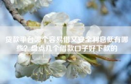 贷款平台哪个容易借又安全利息低有哪些？盘点几个借款口子好下款的