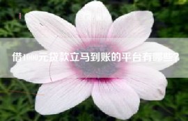 借1000元贷款立马到账的平台有哪些？