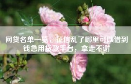 网贷名单一览，征信乱了哪里可以借到钱急用贷款平台，拿走不谢