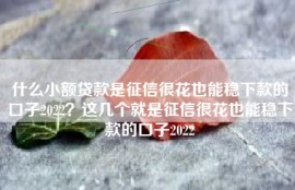 什么小额贷款是征信很花也能稳下款的口子2022？这几个就是征信很花也能稳下款的口子2022