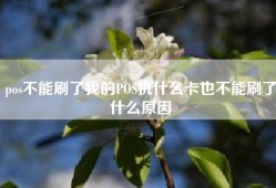 pos不能刷了我的POS机什么卡也不能刷了什么原因