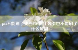 pos不能刷了我的POS机什么卡也不能刷了什么原因