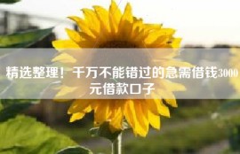 精选整理！千万不能错过的急需借钱3000元借款口子
