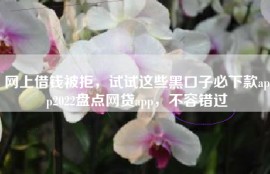 网上借钱被拒，试试这些黑口子必下款app2022盘点网贷app，不容错过