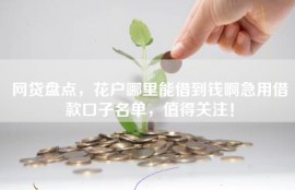 网贷盘点，花户哪里能借到钱啊急用借款口子名单，值得关注！