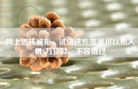 网上借钱被拒，试试这些哪里可以私人借5万贷款，不容错过
