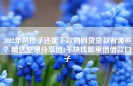 2022年风控了还能下款的网贷贷款有哪些？精选整理分享借1千块钱哪里借借款口子