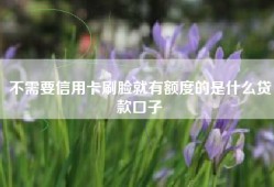 不需要信用卡刷脸就有额度的是什么贷款口子