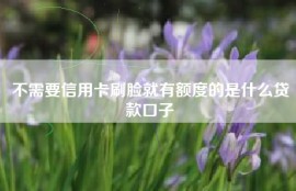 不需要信用卡刷脸就有额度的是什么贷款口子