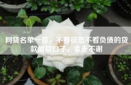 网贷名单一览，不看征信不看负债的贷款借款口子，拿走不谢