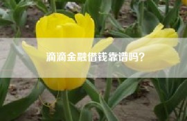 滴滴金融借钱靠谱吗？