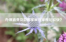 办理消费贷款哪家银行审核比较快？