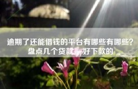 逾期了还能借钱的平台有哪些有哪些？盘点几个贷款app好下款的