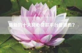 最新的十大良心贷款平台是哪些？