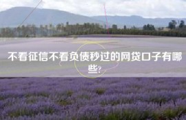 不看征信不看负债秒过的网贷口子有哪些?