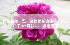 网贷名单一览，征信很花也能稳下款的口子2022贷款app，拿走不谢